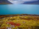 Iceland. Fjord Borgarfjordur and Arnarfjordur during autumn. Art Print